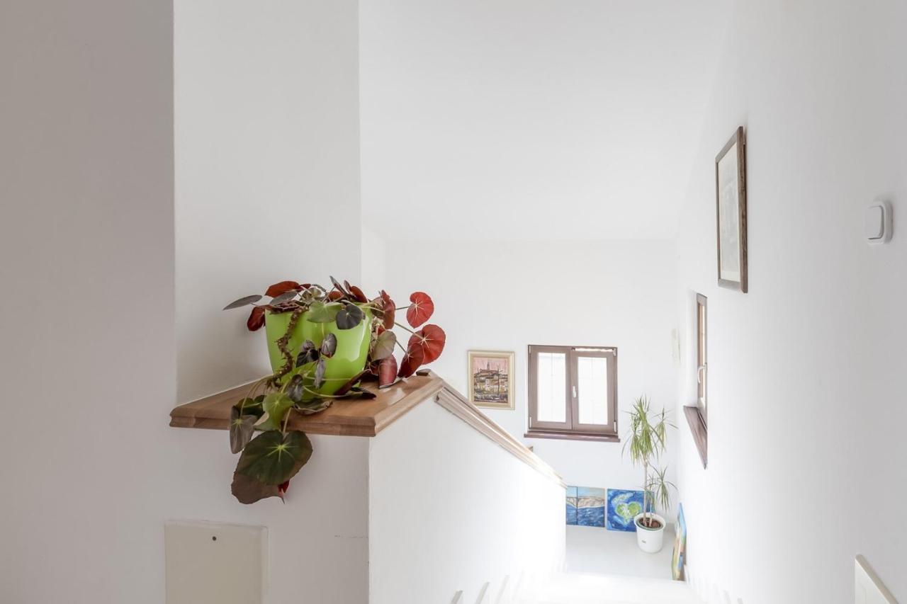 Apartments Ruzica ポレッチ エクステリア 写真